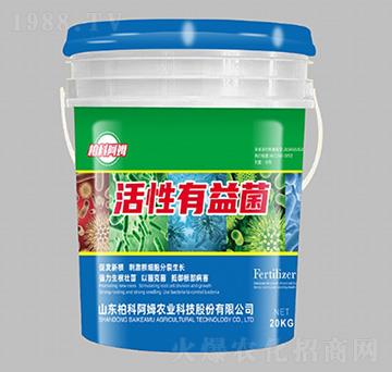 ���������-�ؿư�ķ