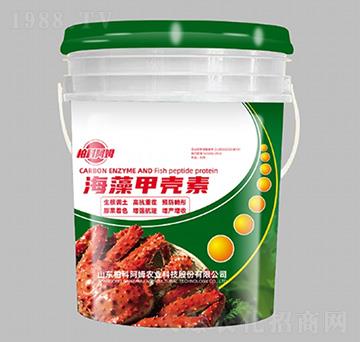 ����ך���-�ؿư�ķ