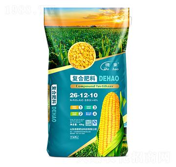 ���׌��Ï�(f��)�Ϸ���26-12-10-�º��ʘI(y��)