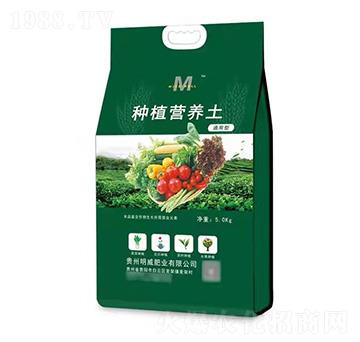 �ЙC�I�B(y��ng)��-�����ʘI(y��)