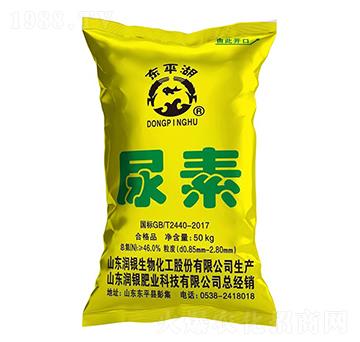 ����-�|ƽ��-���y����