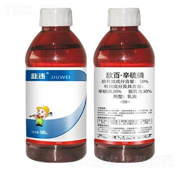 50%���١�����������-���`-Ұ������