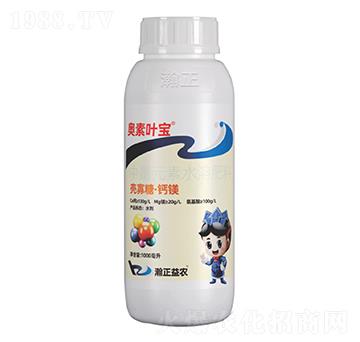 �����ǡ��}�V-�W���~��