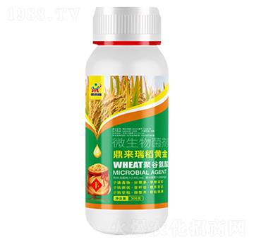 ����(l��i)���S��-΢�������-����(l��i)��