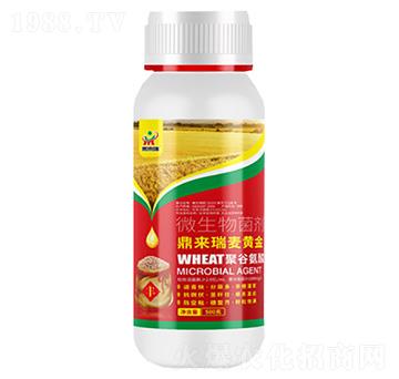 ����(l��i)�����S��΢�������-����(l��i)��