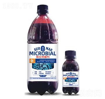 ΢�������-��ï����