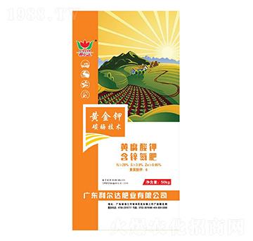 �S����⛺��\����-�S���-�����_(d��)�ʘI(y��)