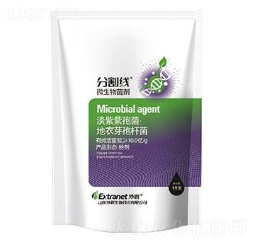 ΢�������-�ָ-������