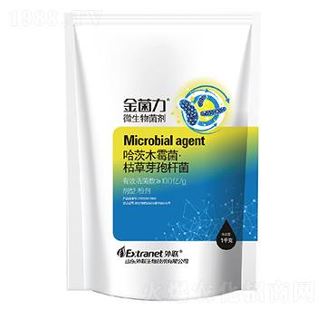 ΢�������-�����-������