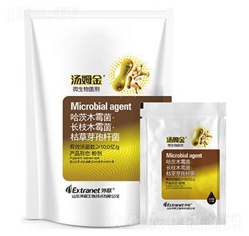 ΢�������-��ķ��-������