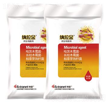 ΢�������-�{����-������