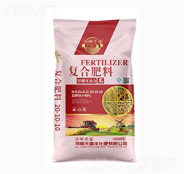 �ͺϷ���20-10-10-�\���p����-��ϲ�S