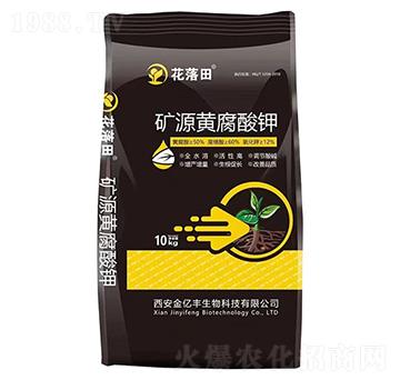 �VԴ�S�����-������-���|�S