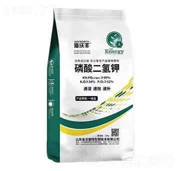 ��������-�����S-�����_(d��)����