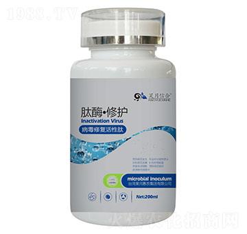 ��ø�����o�������ޏ�(f��)�����ģ�-����ź�