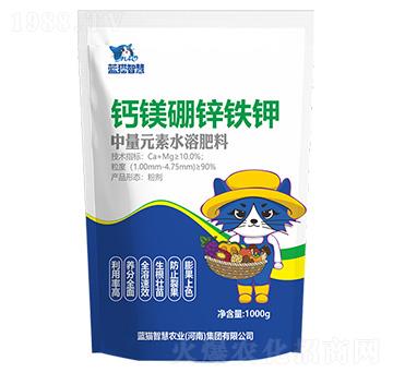 �}�V���F�\�-�{(l��n)؈�ǻ�