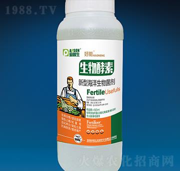 �������-����-��(��i)����