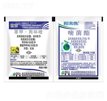 ����+���׼�-����