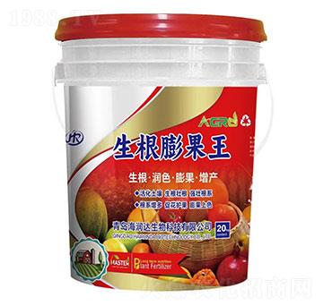 ���������-�����_����