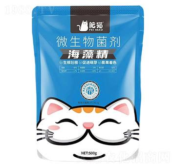 ΢�������-���徫-��؈