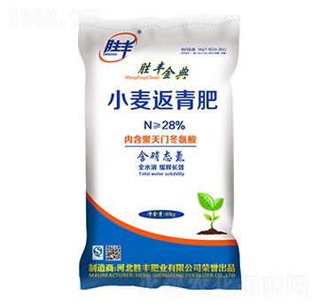 С�������-���S���-���S�ʘI(y��)