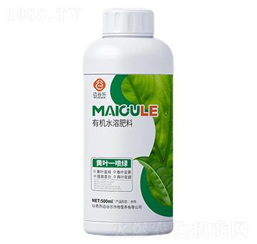 �S�~һ���G�ЙC(j��)ˮ�ܷ���-�~�Ș�