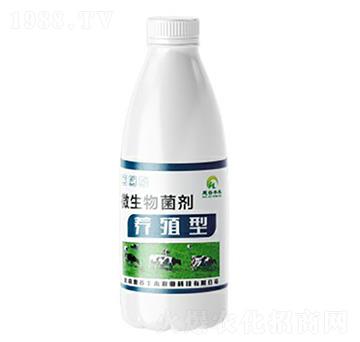 �B(y��ng)ֳ��΢�������-�ݹ��S��