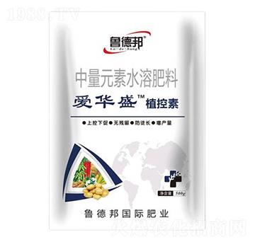 ����Ԫ��ˮ�ܷ���-��(��i)�Aʢ��ֲ����-��?sh��)°? width=