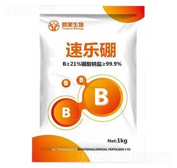 �٘���-�v������