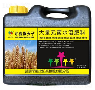 С���M(m��n)����-�A���еV