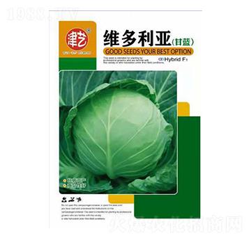 ���{(l��n)�N��-�S������-���S�r(n��ng)�I(y��)