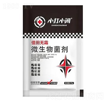 ΢�������-����o˪-С��С�[-��������