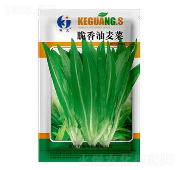 ����������-�ƹ�N��