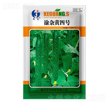 ���s�S4̖-�ƹ�N��