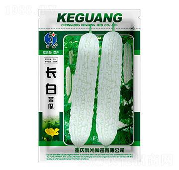 �L�׿��-�ƹ�N��