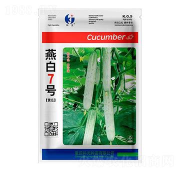 ���7̖-�ƹ�N��