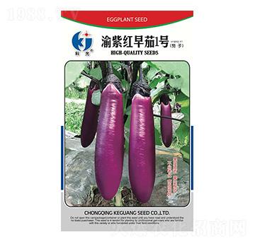 ���ϼt����1̖-�ƹ�N��