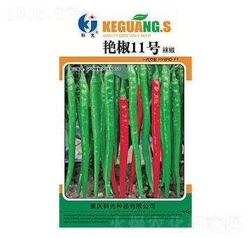 �G��11̖-�ƹ�N��