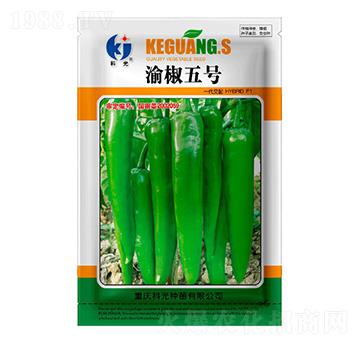 �彷5̖-�ƹ�N��