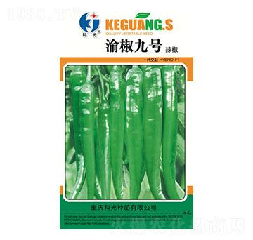 �彷9̖-�ƹ�N��