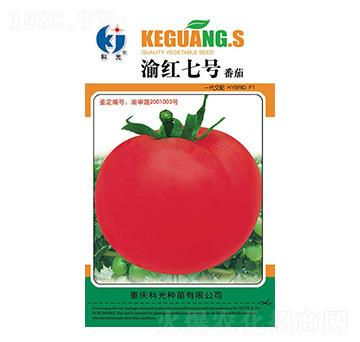 ��t7̖-�ƹ�N��