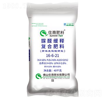 ��ȩ��ጏͺϷ���16-