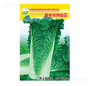 �ײ˷N��-�ձ������ײ�-̫���N�I(y��)