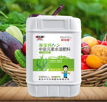 �����}-����}-�Рq����