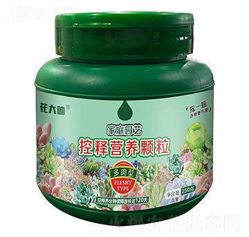 �����ͼ�ͥ�@ˇ��ጠI(y��ng)�B(y��ng)�w��-����-�G�ַʘI(y��)