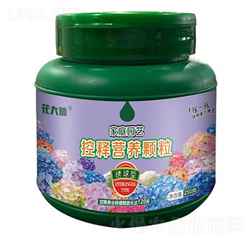 �C���ͼ�ͥ�@ˇ��ጠI(y��ng)�B(y��ng)�w��-����-�G�ַʘI(y��)