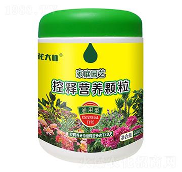 800��ͨ���ͼ�ͥ�@ˇ��ጠI(y��ng)�B(y��ng)�w��-����-�G�ַʘI(y��)