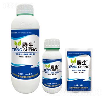 ����֬���S����E-�v��-�õ���