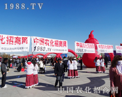 �r(n��ng)���W(w��ng)�ü����c(di��n)ȼ2013��|����ʡ�����p����