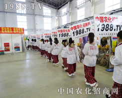 С��ꖂ���2013�|����ʡ����չ������ֱǰ